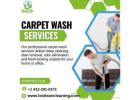 Trusted Carpet Washing Expert in Pittsburgh, PA