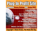 FREE REPORT: The 5 Fastest Ways to Generate $9,951.13 in 30 Days or Less