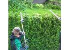 Your Professional Hedge Trimming Service—Land Love Lawn Maintenance