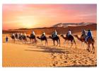 Desert Safari in Osian with Osian Village Safari & Homestay