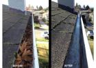 Gutter Cleaning in Mosman