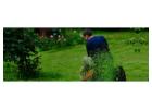 Gardeners Epping