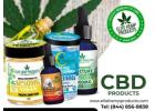 CBD Products – Premium Quality for Your Wellness!