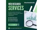 Comprehensive Web Research Services for Businesses